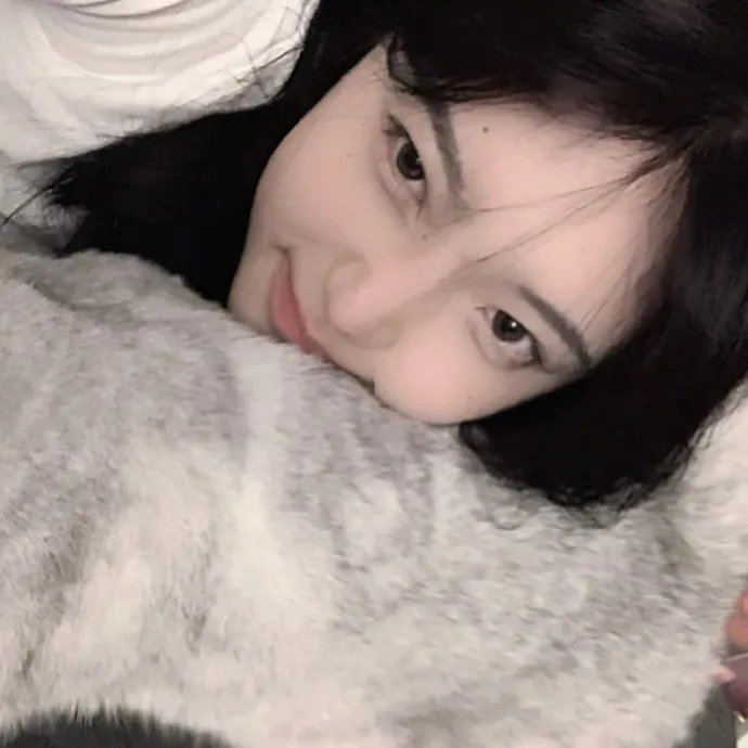 赖猫的狮子倒影